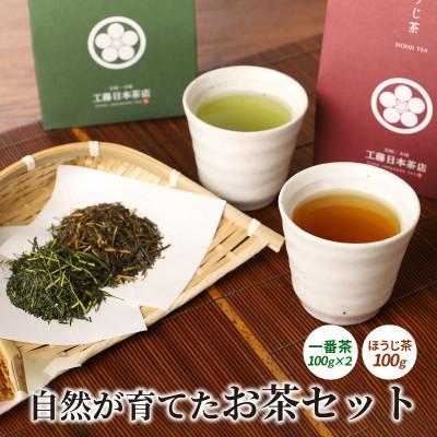 ふるさと納税 木城町 一番煎茶・ほうじ茶　詰合せセット