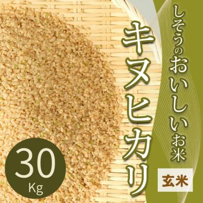 ふるさと納税 宍粟市 【令和7年産】しそうのおいしい お米 キヌヒカリ 玄米 30kg I4