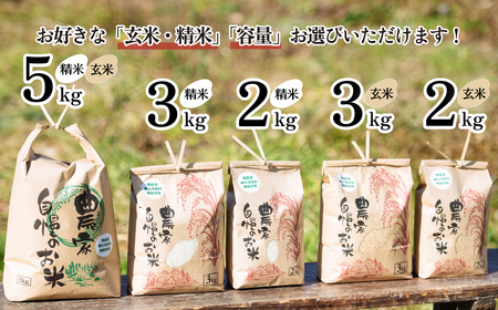 茨城県下妻市産 なごみ米（コシヒカリ） 玄米 2kg　【お米 コシヒカリ 米 無農薬 無化学肥料 無除草剤 玄米 ブランド米 茨城県産】