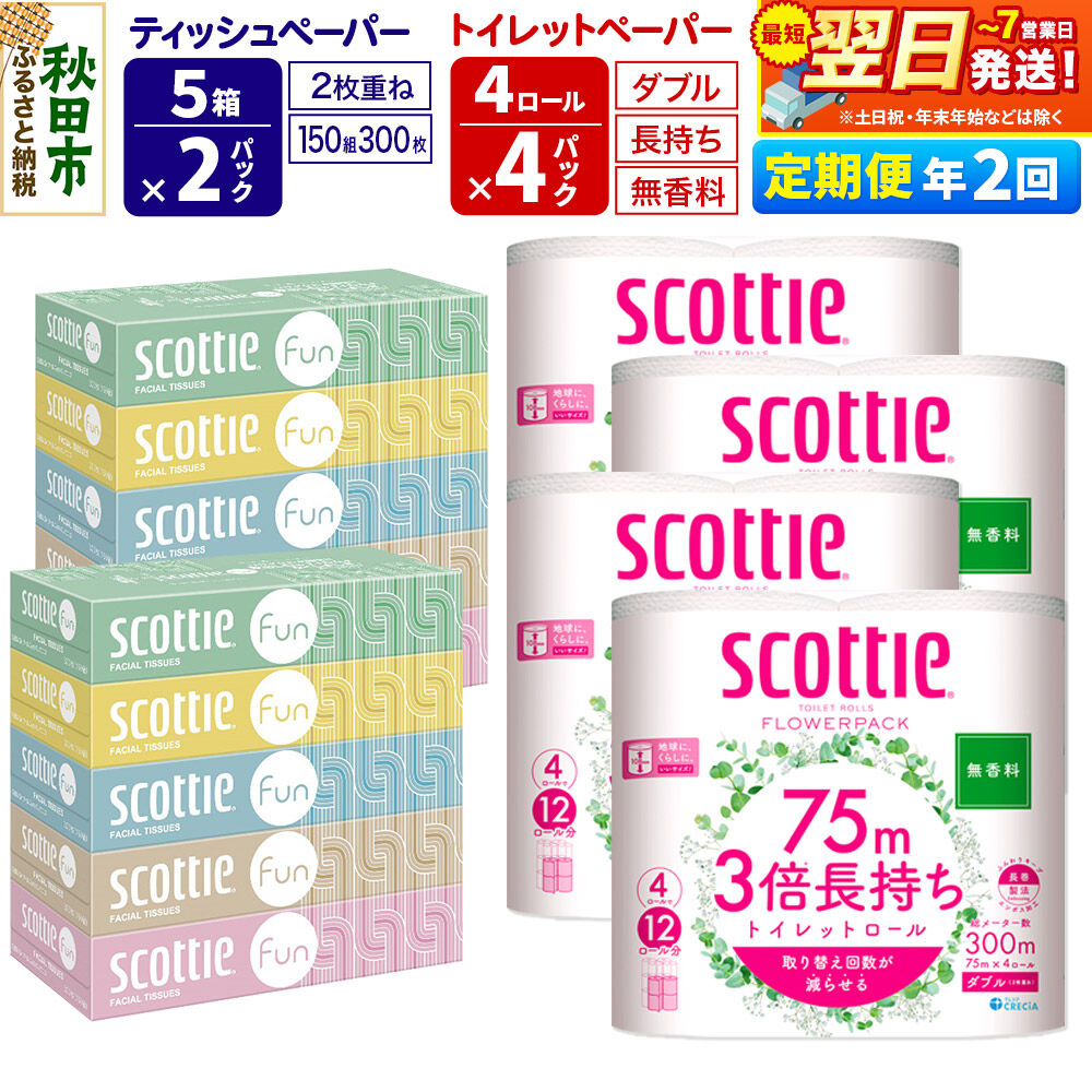 【ふるさと納税】《6ヶ月ごとに2回お届け》定期便 ティッシュペーパー スコッティ ファン 150組 5箱×2パック ＆ スコッティトイレットペーパー ダブル 無香料 3倍長持ち4ロール×4パック 秋田市オリジナル 最短翌日発送 [スコッティ]