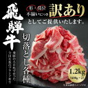 【ふるさと納税】年内お届け 年内配送 訳あり 飛騨牛 切落とし 600g×2 冷凍真空パック | 肉 お肉 切り落とし 薄切り すき焼き すきやき 黒毛和牛 和牛 人気 小分け 個包装 おすすめ 牛肉 ギフト 年末配送 年末発送 日時指定 7日以内お届け [MS025]