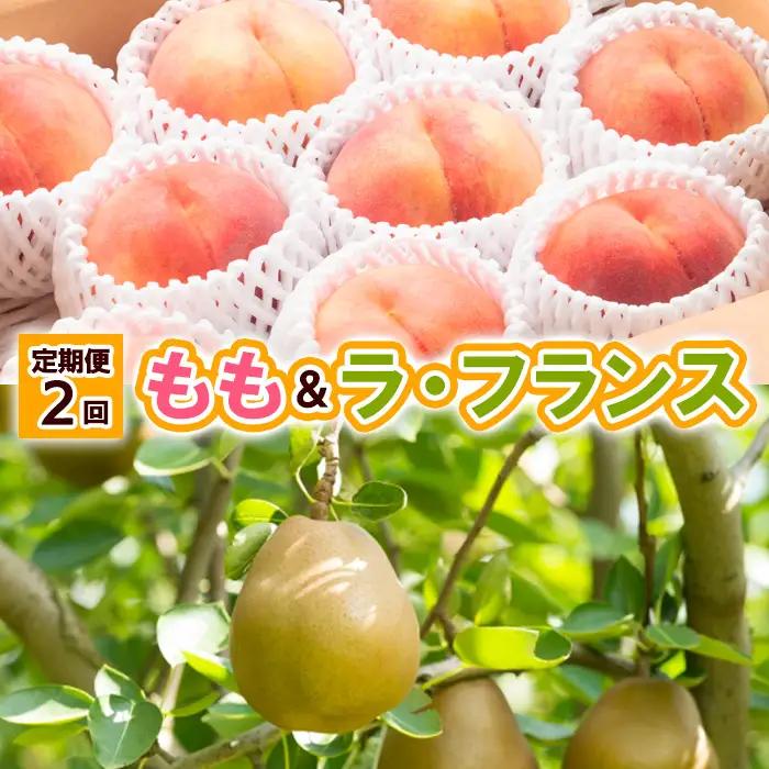 【定期便2回】山形の　もも＆ラ・フランス【令和8年産先行予約】FU23-797 くだもの 果物 フルーツ 山形 山形県 山形市 2026年産