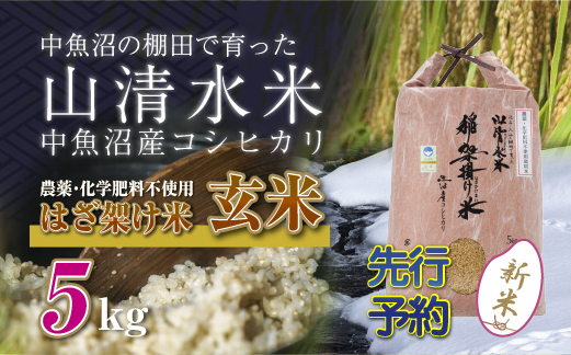 【新米先行受付】新潟県魚沼産コシヒカリ◇玄米５kg 栽培期間中農薬・化学肥料不使用「山清水米」はざ架け米