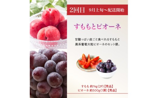 ≪先行受付≫8種のフルーツ詰合せセット★スペシャル便【定期便全４回】