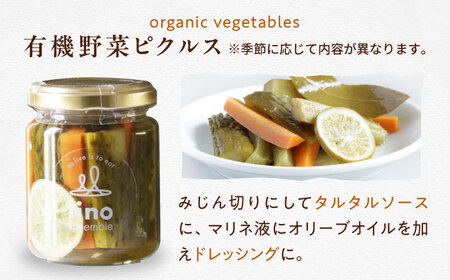 ピクルスセット 4個入り 愛媛県大洲市/iino assemble | ピクルス 野菜 詰め合わせ セット 加工食品 漬物[AGAA015]