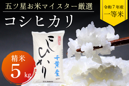 令和7年 千葉富津産「コシヒカリ」5kg（精米）　竹ノ内米店