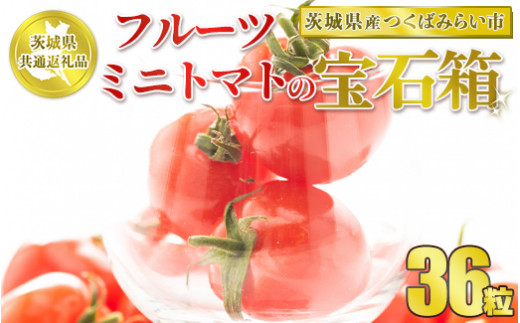 【先行予約】【茨城県共通返礼品　つくばみらい市産】フルーツミニトマトの宝石箱　36粒<br>※2026年1月～3月下旬頃に順次発送予定