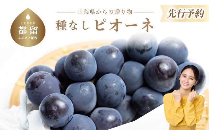 FB002【2026年 先行予約】山梨県産　種なしピオーネ2～3房(約1.0Kg）