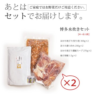 博多水炊き(はかた地どり切り身・つみれ)セット4～6人前【配送不可地域：離島】