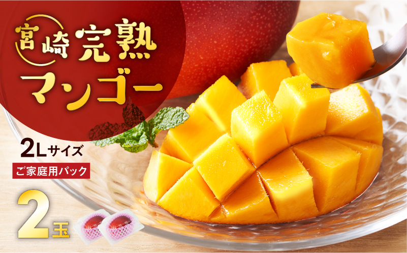 完熟マンゴー2L×2玉（パック）【JA綾町】_A0114-1021