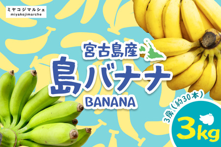 JH008　宮古島産バナナ3?【（株）フラモン】