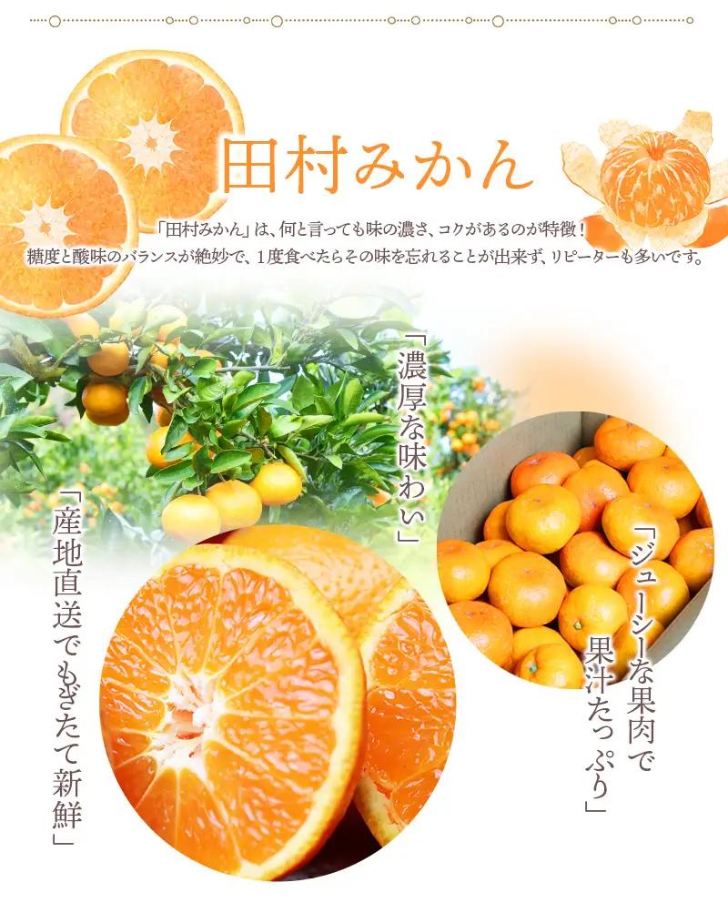 みかん 高級ブランド 田村みかん 5kg【uot504A】