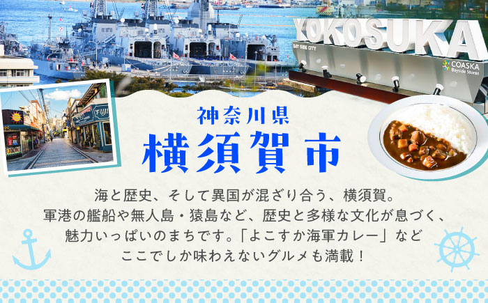 HISふるさと納税クーポン10,000円分 横須賀市／株式会社エイチ・アイ・エス 【AKIU003】 [AKIU003]