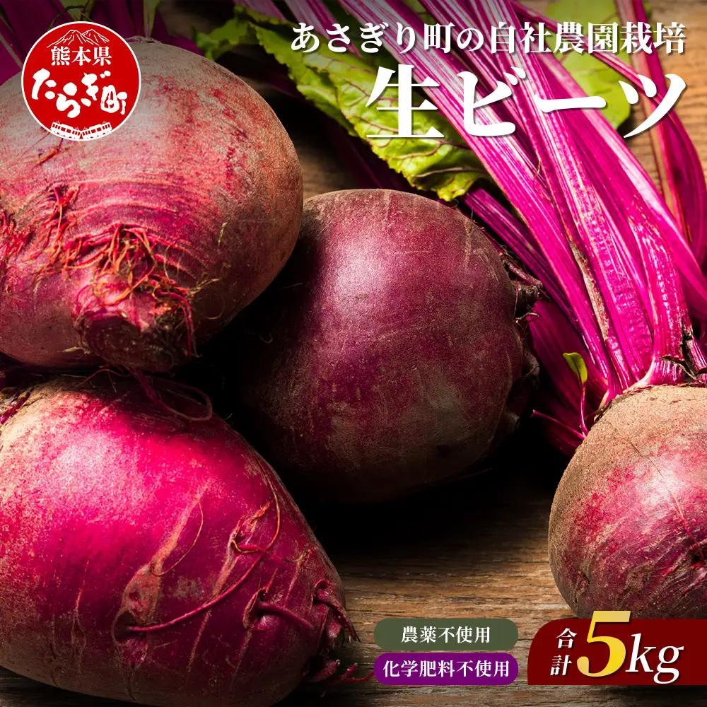 自社農園栽培 生 ビーツ 5kg 熊本県 産 スーパーフード 115-0613