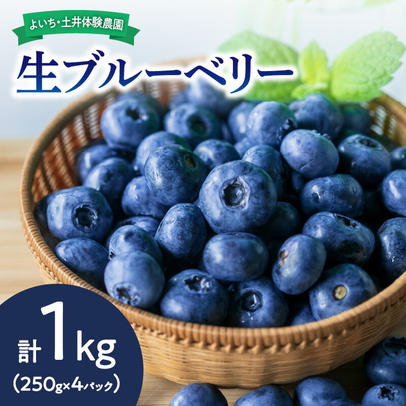 【ふるさと納税】【先行予約：2026年7月上旬以降発送】北海道産生ブルーベリー1kg Yes!clean認証 手摘み 減農薬 小分けパック 北海道 余市町