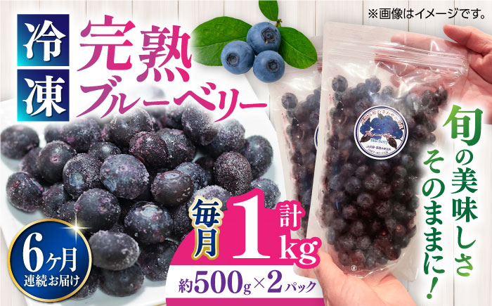 
            【全6回定期便】旬の美味しさそのまま！完熟 冷凍ブルーベリー 計1kg (約500g×2パック) 果物 ブルーベリー フルーツ 小分け 熊本 冷凍 ブルーベリー 大粒 ぶるーべりー 国産【マルク ザ・ガーデン】 [YDI003]
          