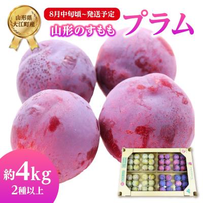 ふるさと納税 大江町 《先行受付》すもも(プラム)約4kg 2種以上【2025年8月中旬頃〜発送予定】001-076