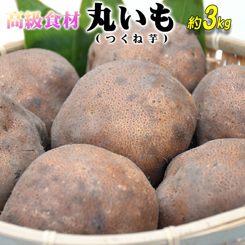 【ふるさと納税】ねばりが凄い！高級食材「丸いも」（つくね芋）約3kg【2025年産】青森県産 高級 丸いも つくねいも やまいも いも イモ 芋 滋養強壮 健康 食品 青森 東北 地方 三戸町