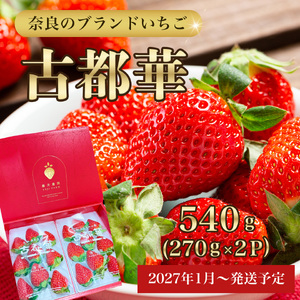 【先行予約】いちご 古都華270g×2パック【2027年1月以降お届け】藤井農園 fuj02