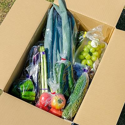 ふるさと納税 筑前町 【直売所みなみの里厳選】旬の野菜・果物セット |  | 01