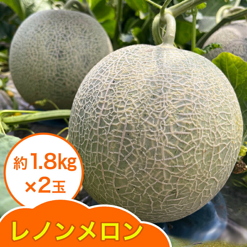 【ふるさと納税】レノン メロン 約1.8kg×2玉｜2025年 令和7年 青森 津軽 つがる産 レノン メロン めろん 特産 ジューシー 糖度 フルーツ 果物 ギフト 産直 赤肉メロン 夏メロン [0859]