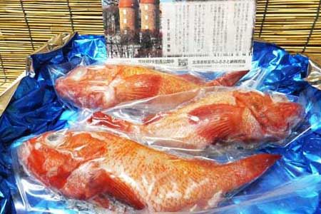 【北海道根室産】キンキ(下ごしらえ済)×3尾 C-72001