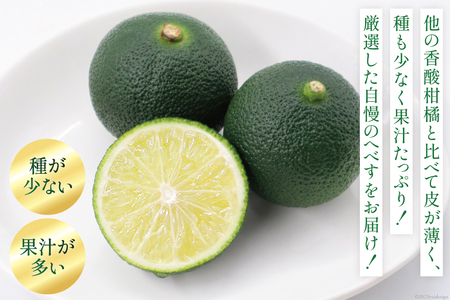 【期間限定発送】訳あり 旬を先取り 黒木へべすファーム自慢の《ハウス》 へべす 2kg [黒木へべすファーム 宮崎県 日向市 452060743] 柑橘 国産 家庭用 ヘベス 平兵衛酢 宮崎 ビタミン