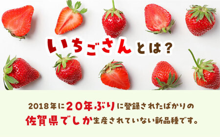 【1月〜3月発送】【全3回定期便】いちごさん 計1kg以上（約250g×4P）  TZファーム / イチゴ  いちご いちごさん イチゴセット いちごセット[FDF002]