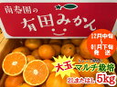 【ふるさと納税】ちょっと傷あり【マルチ栽培・有田みかん】大玉2LまたはLサイズ／約5kg【南泰園】 ※着日指定不可 ※12月中旬頃〜翌年1月下旬頃に順次発送予定