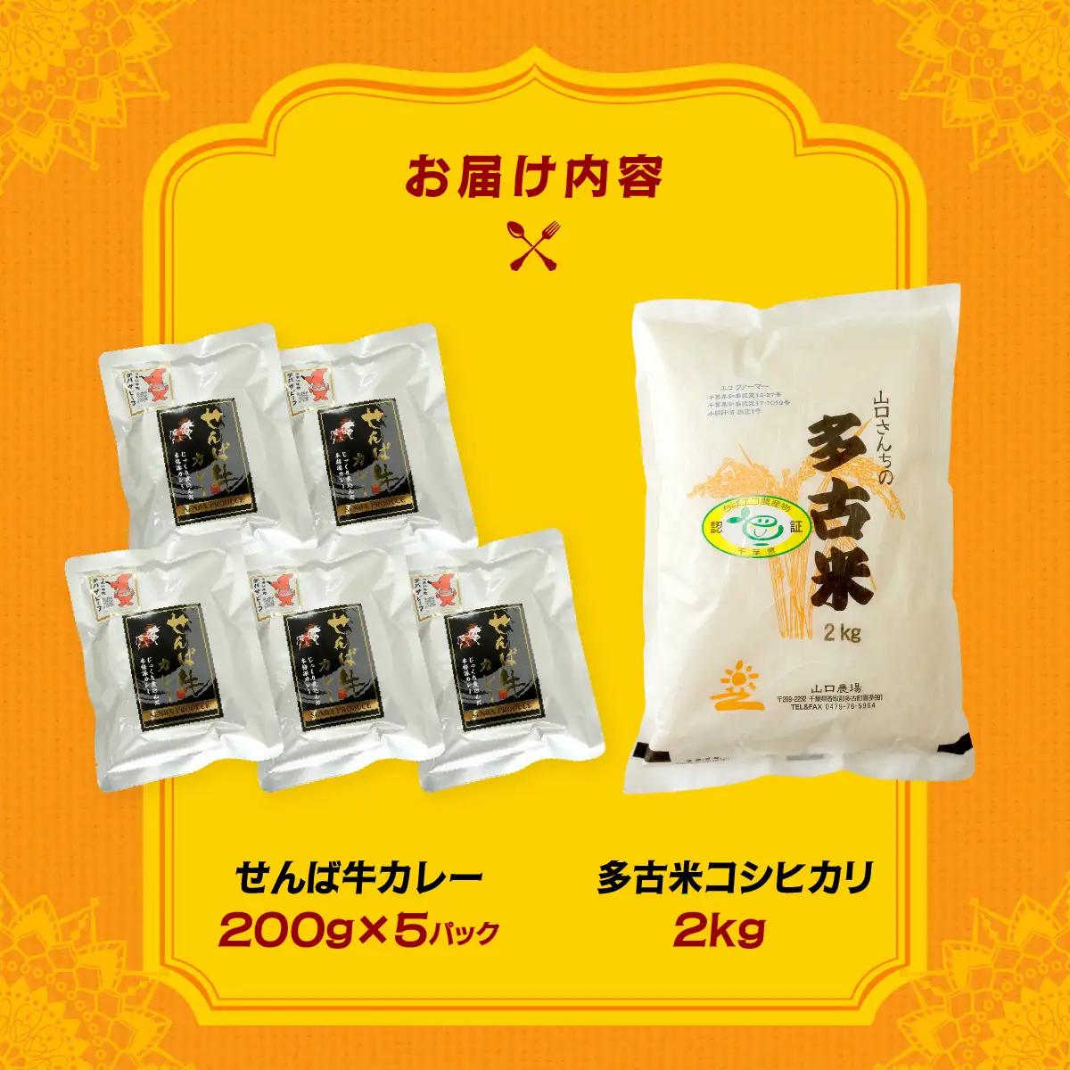 ご飯にはやっぱりカレー!「多古米コシヒカリ2kg」と「せんば牛カレー200g×5」セット_ 精米 米    コシヒカリ 米 こしひかり  惣菜・加工品 カレー  _【配送不可地域：離島・沖縄県】TAK