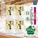 【ふるさと納税】令和6年産 真室川町 コシヒカリ ［白米］ 60kg 定期便（20kg×3回お届け）