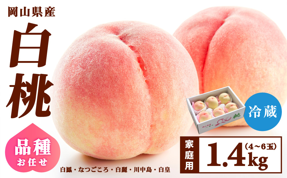 【家庭用】岡山県産 旬の桃 白桃 品種おまかせ 1.4kg 1.4kg