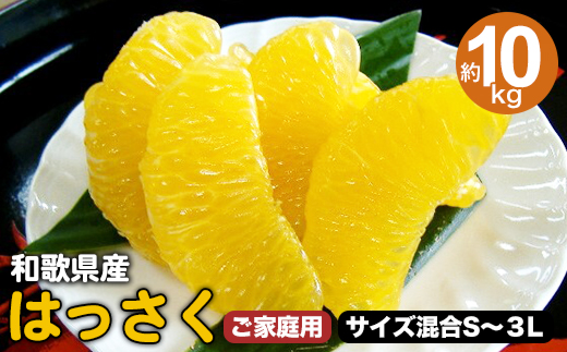和歌山県 由良町産 はっさく 約10kg ご家庭用 サイズ混合  S～3Lサイズ