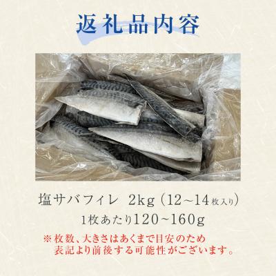 ふるさと納税 石巻市 <訳あり> 無添加 塩サバフィレ 2kg 魚 塩さば 冷凍 不揃い 規格外 焼き魚 切り身 |  | 03