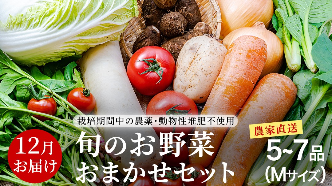 
                  農家直送 旬のお野菜 おまかせセット 【2026年12月お届け】 Mサイズ（5~7品） 野菜セット 野菜 旬 詰め合わせ やさい おまかせ 自然 春野菜 夏野菜 セット 季節 新鮮 旬 農家直送
                