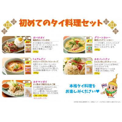 ふるさと納税 大田区 【本格タイ料理クルン・サイアムのスースーデリ】初めてのタイ料理セット 5個 |  | 03