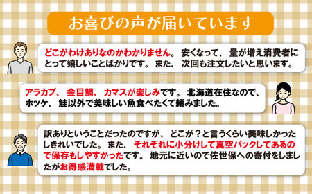 【高評価★5.0】【訳あり】富岡の｢訳あり干物｣セット 計24枚以上 数量限定 工場直売だから出来る豊富なバラエティ 種類ごとに分けて袋詰め【富岡水産】干物 訳あり干物 人気干物 おすすめ干物 高評価