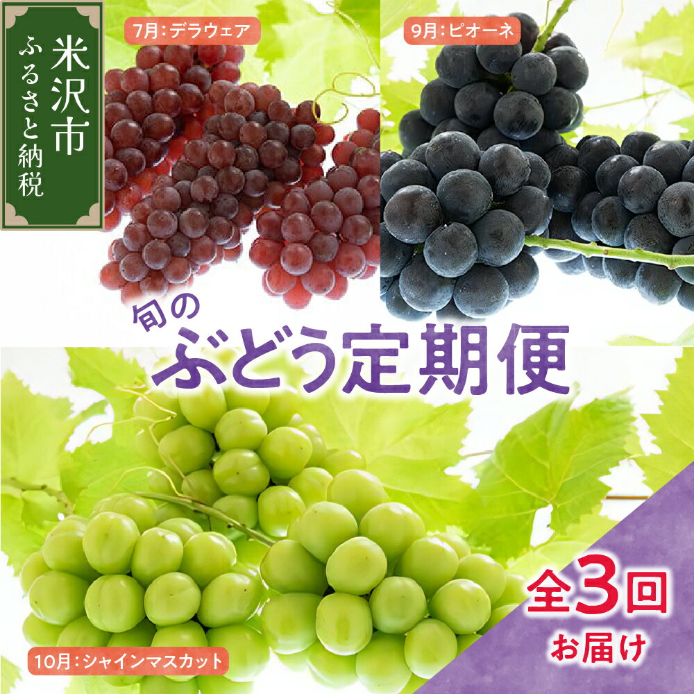 【ふるさと納税】【定期便 全3回】令和7年産 ぶどう 定期便【2025年7月下旬頃～ 発送開始】デラウェア ピオーネ シャインマスカット 2025年産 種無し ぶどう ブドウ 葡萄 フルーツ 果物 くだもの 期間限定 数量限定 先行予約 山形産 山形県 米沢市