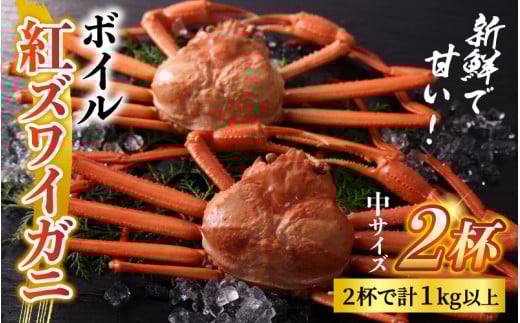 【先行予約】ボイル紅ズワイガニ 冷蔵配送【川村水産】※発送前に在宅確認の電話連絡をいたします！【25年度9月下旬以降順次配送】