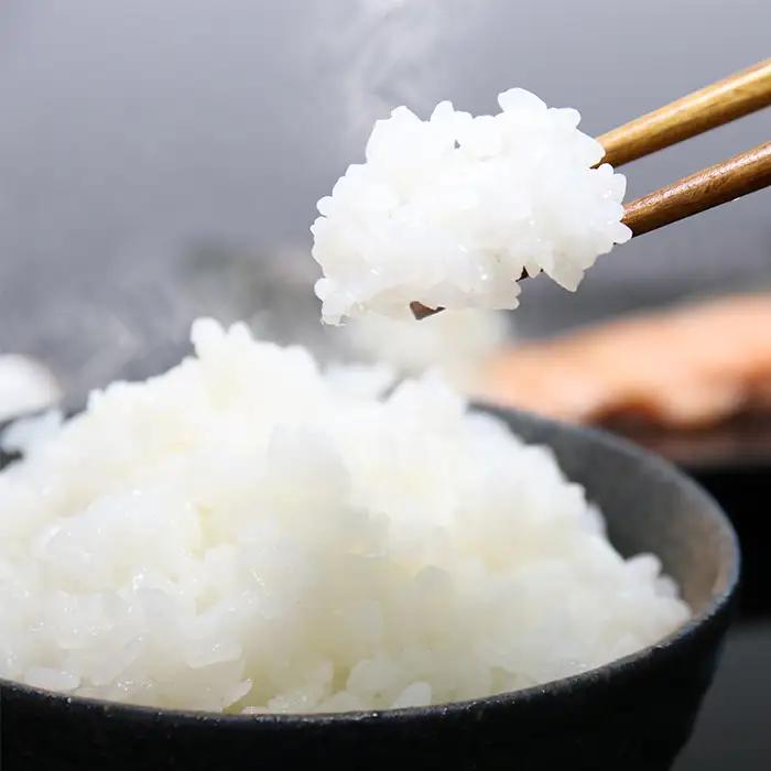 【令和８年産 新米】鴨川のブランド米『長狭米 コシヒカリ（一等米）』【玄米12kg】 《2週間以内に発送》《数量限定》ながさまい こしひかり ちばエコ農産物 減農薬 減化学肥料 農家直送 玄米 白米 