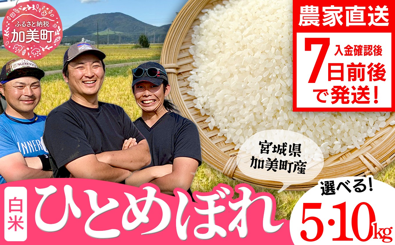 
                  ひとめぼれ 米 5kg / 10kg 令和8年産  宮城県産 加美町産 ひとめぼれ 白米 精米 ご飯 ごはん コメ こめ お米 小分け 家庭用 結心ファーム [ 宮城県 加美町 ] |
                