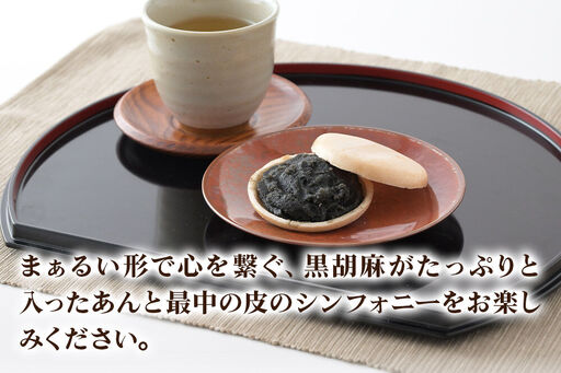 竹うちもなか ごま 10個入 最中 秋田銘菓 お菓子のくろまる 秋田 美郷町