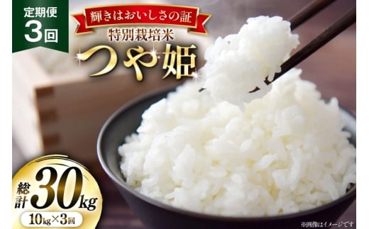 米 定期便 3回 令和7年産 特別栽培米 つや姫 10kg (5kg×2) [本田勇仁 山形県 高畠町 tk06bgj910007] お米 白米 精米 ごはん ご飯 ブランド米