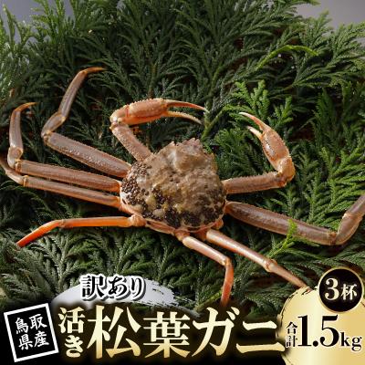 ふるさと納税 智頭町 【先行予約】鳥取県産 訳あり 活 松葉がに 500g×3杯(中村商店)2026年11月発送