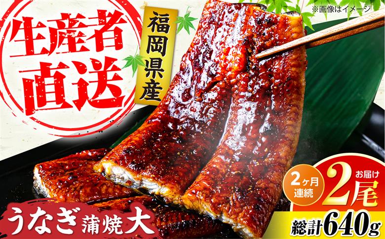 【全2回定期便】福岡県産 うなぎ 蒲焼 大2尾　合計 320 g（1尾あたり 160g以上）《豊前市》【福岡養鰻】 国産 うなぎ 大 [VAD034]