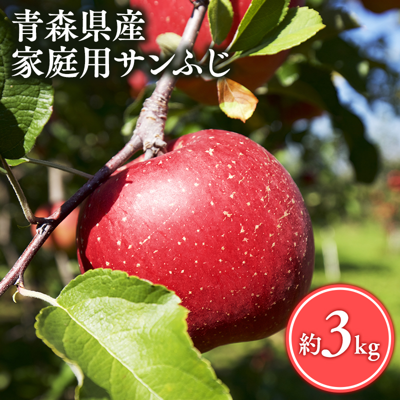 【1月発送】家庭用サンふじ3㎏【丸勝木村商店・青森りんご】