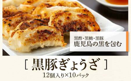 【B02104】ふるさと2選B 焼豚(約200g×5個・計約1kg)と餃子(12個入×10パック・計120個)のセット 鹿児島 国産 九州産 黒豚 豚肉 お肉 焼豚 餃子 冷凍 おかず ギフト 贈答 