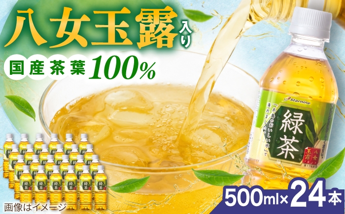 
                  緑茶 八女玉露 入り 緑茶 ペットボトル 500ml × 24本  糸島市 / スターナイン お茶 ペットボトル 緑茶 ペットボトル飲料 りょくちゃ おちゃ 飲料 ボトル 八女茶 冷茶 旨み 八女 玉露 国産緑茶 茶葉 便利 手軽 国産 日本茶 [ARM004]
                