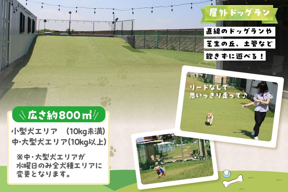 【TOWATERAメンバーズ】ドッグラン、ペットホテルなどをお得に利用できる「トワるん」会員入会＋ドッグラン使い放題【2頭】｜犬 ペット おでかけ 知多半島 伊勢湾 オーシャンビュー 海沿い 観光 体