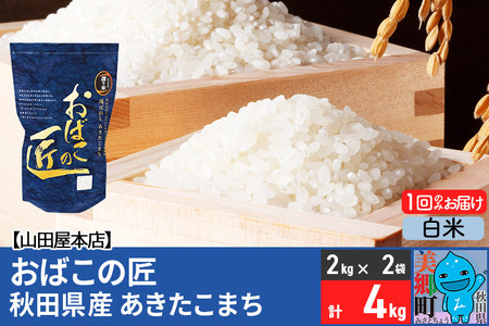 令和6年産 おばこの匠 秋田県産あきたこまち 4kg（白米）2kg袋 秋田こまち お米